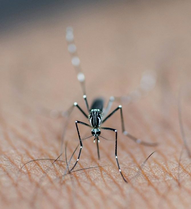 Comme d'autres vaccins pour votre voyage, le vaccin contre la fièvre jaune est disponible au Centre médical Gare de Renens et au Centre médical Gare de Vevey